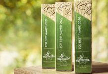 Экологичный бизнес: подведены итоги премии Eco Best Award-2020 итоги премии Eco Best Award-2020 - Каменный лес Stone Forest