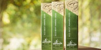 Экологичный бизнес: подведены итоги премии Eco Best Award-2020 итоги премии Eco Best Award-2020 - Каменный лес Stone Forest