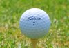 Флагман в гольфе: Titleist Titleist - Каменный лес Stone Forest