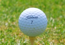Флагман в гольфе: Titleist Titleist - Каменный лес Stone Forest