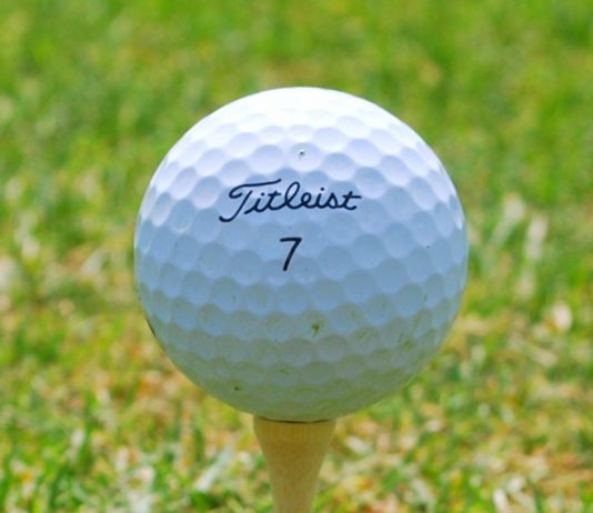 Флагман в гольфе: Titleist Titleist - Каменный лес Stone Forest