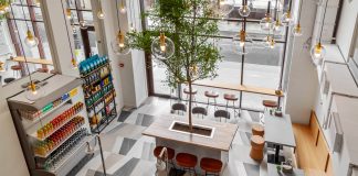 5 секретов городских кофеен Кофейня Paulig - Каменный лес Stone Forest