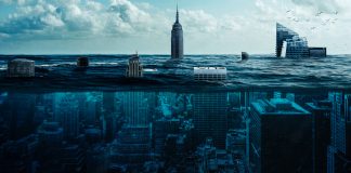 Америка-2020 как Атлантида США под водой - Каменный лес Stone Forest