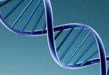 Зачем мужчины делают тест ДНК Зачем мужчины делают тест ДНК - Каменный лес Stone Forest