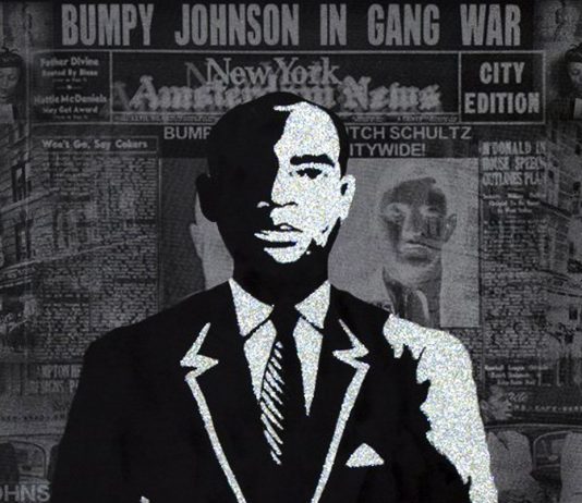 Бампи Джонсон: криминальный авторитет из Гарлема Бампи Джонсон - Каменный лес Stone Forest