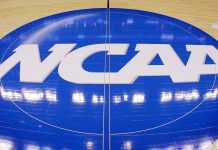 NCAA: как организован непрофессиональный студенческий спорт в США NCAA - Каменный лес Stone Forest