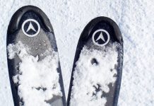 Французские лыжи Dynastar для профессионального спорта или активного отдыха Dynastar - Каменный лес Stone Forest