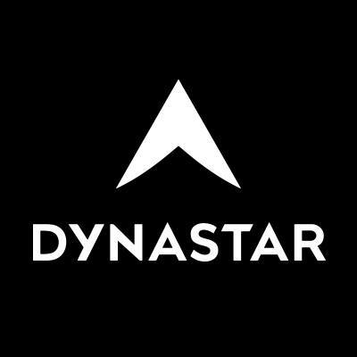 Лого Dynastar - Каменный лес Stone Forest