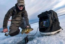 Как выбрать эхолот для зимней рыбалки Как выбрать эхолот для зимней рыбалки - Каменный лес Stone Forest