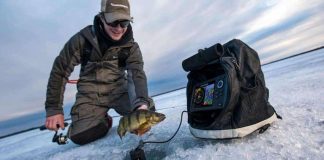 Как выбрать эхолот для зимней рыбалки Как выбрать эхолот для зимней рыбалки - Каменный лес Stone Forest