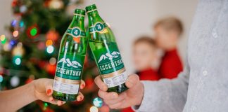 Как выжить после Нового года: чек-лист для выхода из праздничной «комы» Как выжить после Нового года - Каменный лес Stone Forest