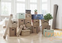 Этапы организации дачного переезда Этапы организации дачного переезда - Каменный лес Stone Forest