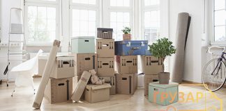 Этапы организации дачного переезда Этапы организации дачного переезда - Каменный лес Stone Forest