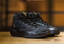 История модели кроссовок Jordan Melo M13 Jordan Melo M13 - Каменный лес Stone Forest