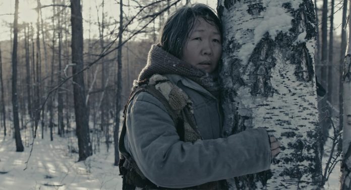 Фильм Пугало 2020 - Каменный лес Stone Forest