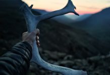 Как я узнал о Плато Путорана Плато Путорана - Каменный лес Stone Forest