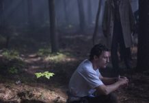 “Лес самоубийц” Гаса Ван Сента: как на Каннском фестивале хороший фильм освистали Лес самоубийц фильм - Каменный лес Stone Forest