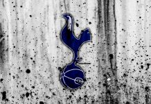 “Тоттенхэм”, петушок Чирпи и армия евреев Тоттенхэм Хотспур - Каменный лес Stone Forest