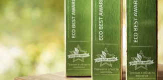 Продолжается прием заявок на участие в премии ECO BEST AWARD-2021 ECO BEST AWARD-2021 - Каменный лес Stone Forest
