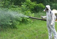 Как грамотно избавиться от клещей Как грамотно избавиться от клещей