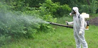 Как грамотно избавиться от клещей Как грамотно избавиться от клещей