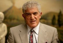 Настоящий гангстер. Творческий путь Фрэнка Винсента Гаттузо Фрэнк Винсент - Каменный лес Stone Forest