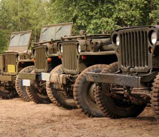 Jeep Willys: история четырехколесной легенды Jeep Willys - Каменный лес Stone Forest