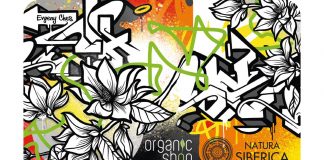 Сети магазинов органической косметики Natura Siberica и Organic Shop объединили свои программы лояльности и выпустили новую карту с арт-дизайном Natura Siberica x Organic Shop x Ches - Каменный лес Stone Forest