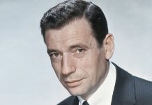 Итальянская страсть и безграничное обаяние: биография Ива Монтана Ив Монтан - Каменный лес Stone Forest