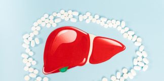 Как жить с человеком у которого гепатит С Как жить с человеком у которого гепатит С - Каменный лес Stone Forest