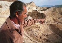 Профессия: Режиссер. Как Микеланджело Антониони изобрел новый киноязык Микеланджело Антониони - Каменный лес Stone Forest