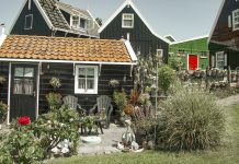 Что такое Васту Что такое Васту - Каменный лес Stone Forest