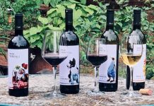 Tsereteli Winery – изысканные вина из самого сердца Грузии Tsereteli Winery – изысканные вина из самого сердца Грузии