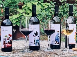 Tsereteli Winery – изысканные вина из самого сердца Грузии