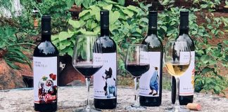 Tsereteli Winery – изысканные вина из самого сердца Грузии Tsereteli Winery – изысканные вина из самого сердца Грузии