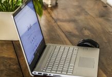 Цветы на рабочем столе. Какие растения могут украсить офис Цветы на рабочем столе