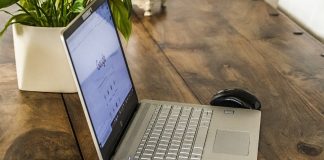 Цветы на рабочем столе. Какие растения могут украсить офис Цветы на рабочем столе