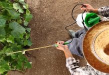 Какой опрыскиватель выбрать и где заказать? Какой опрыскиватель выбрать