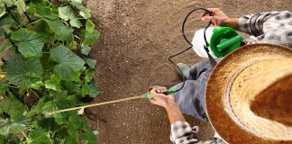 Какой опрыскиватель выбрать и где заказать? Какой опрыскиватель выбрать