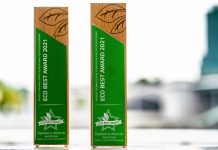 «Зеленый» бизнес: объявлены лауреаты v премии ECO BEST AWARD ECO BEST AWARD 2021