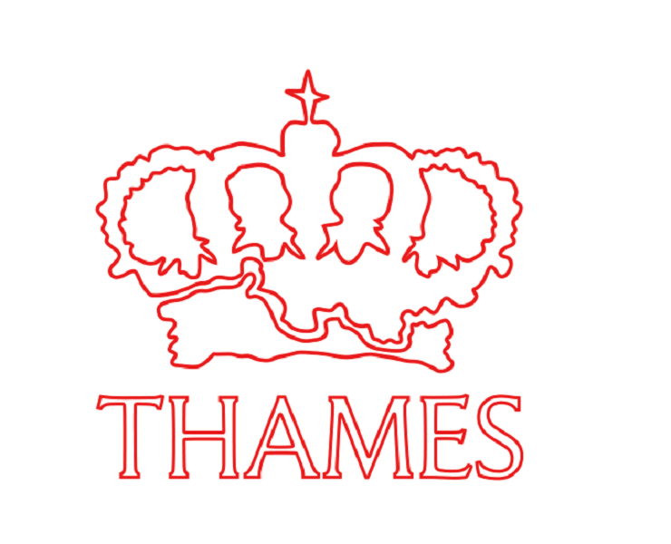 Лого Thames - Каменный лес Stone Forest