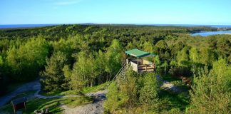 Экскурсии на Куршскую косу из Зеленоградска Высота Мюллера