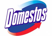 Итоги школьной программы Domestos Итоги школьной программы Domestos