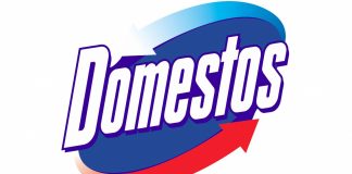 Итоги школьной программы Domestos Итоги школьной программы Domestos