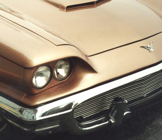 Ford Thunderbird: 50 лет жизни «Громовой птицы» Ford Thunderbird - Каменный лес Stone Forest