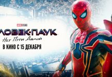 «Человек-паук: Нет пути домой» – новогоднее чудо? Постер Человек-паук: Нет пути домой - Каменный лес Stone Forest