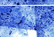 Что такое современное искусство и как научиться его понимать Что такое современное искусство