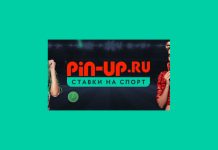 Привлекательные бонусы от букмекера Pin Up Привлекательные бонусы от букмекера Pin Up