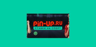 Привлекательные бонусы от букмекера Pin Up Привлекательные бонусы от букмекера Pin Up