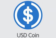 Покупка USDCoin: как сделать всё быстро, выгодно, безопасно и с оплатой картой Сбербанка? Криптовалюта USD Coin
